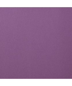 Florence Cardstock Clematis Smooth A4 216g