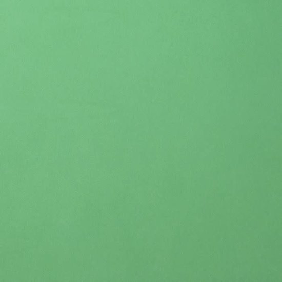 Florence Florence Cardstock Emerald Smooth A4 216g