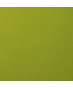 Florence Cardstock Fern Smooth A4 216g