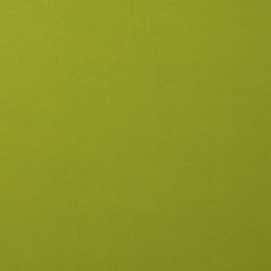 Florence Florence Cardstock Fern Smooth A4 216g