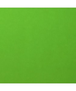 Florence Cardstock Frog Smooth A4 216g