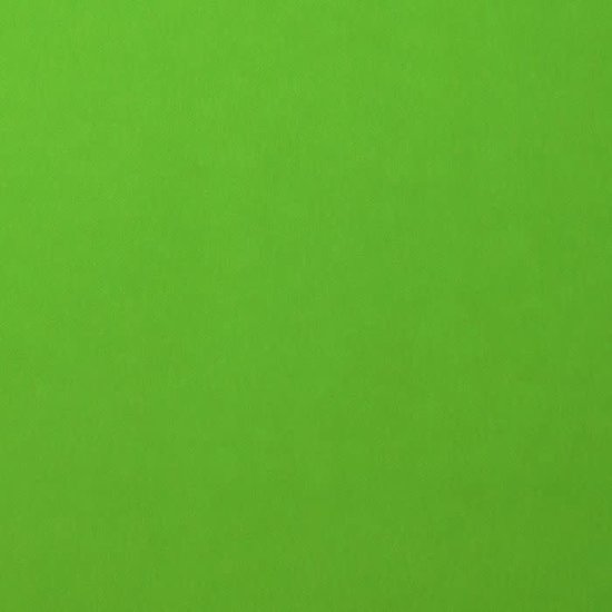 Florence Florence Cardstock Frog Smooth A4 216g