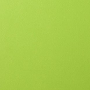 Florence Cardstock Lime Smooth A4 216g