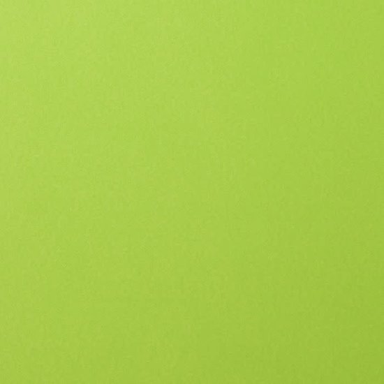 Florence Florence Cardstock Lime Smooth A4 216g