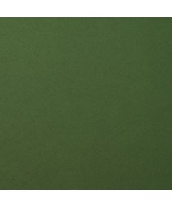 Florence Cardstock Pine Smooth A4 216g