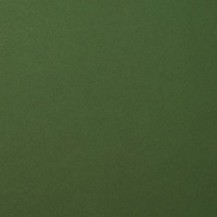 Florence Cardstock Pine Smooth A4 216g