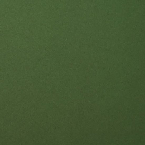 Florence Florence Cardstock Pine Smooth A4 216g