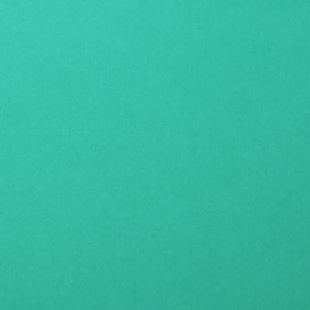 Florence Cardstock Spa Smooth A4 216g