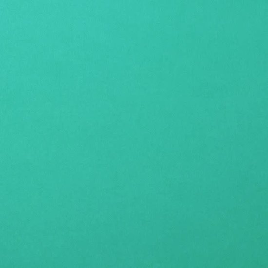 Florence Florence Cardstock Spa Smooth A4 216g