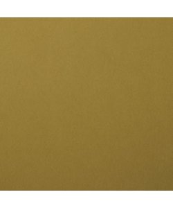 Florence Cardstock Acacia Smooth 12x12'' 216g