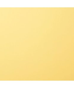 Florence Cardstock Asparagus Smooth 12x12'' 216g