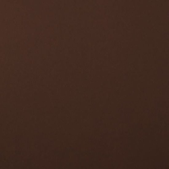 Florence Florence Cardstock Bear Smooth 12x12'' 216g