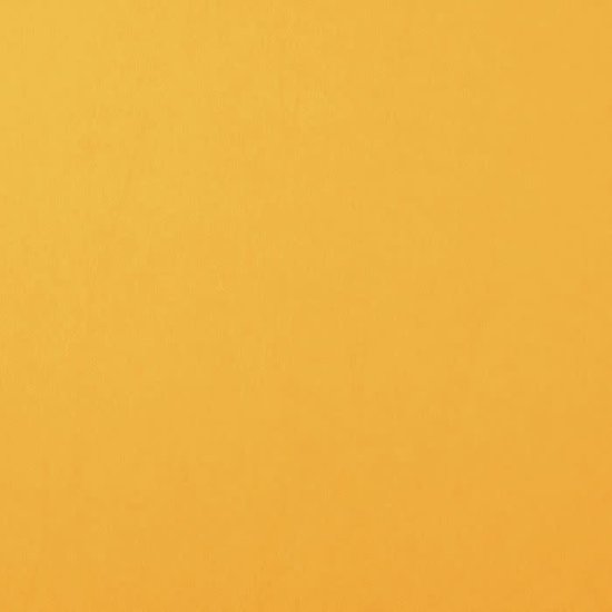 Florence Florence Cardstock Bee Smooth 12x12'' 216g