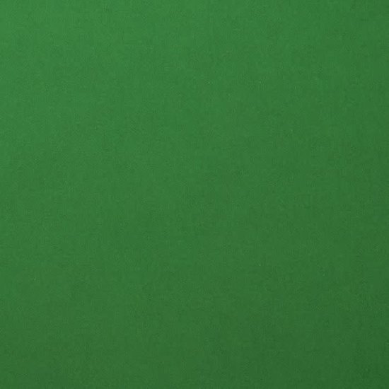 Florence Florence Cardstock Broccoli Smooth 12x12'' 216g