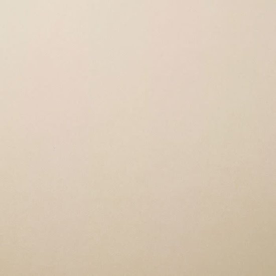 Florence Florence Cardstock Cool Grey Smooth 12x12'' 216g