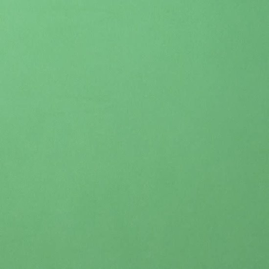 Florence Florence Cardstock Emerald Smooth 12x12'' 216g