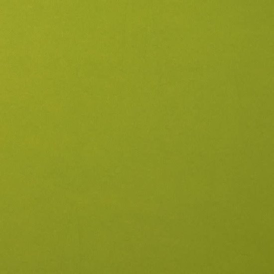 Florence Florence Cardstock Fern Smooth 12x12'' 216g