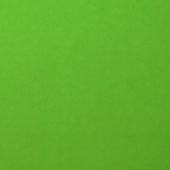 Florence Florence Cardstock Frog Smooth 12x12'' 216g