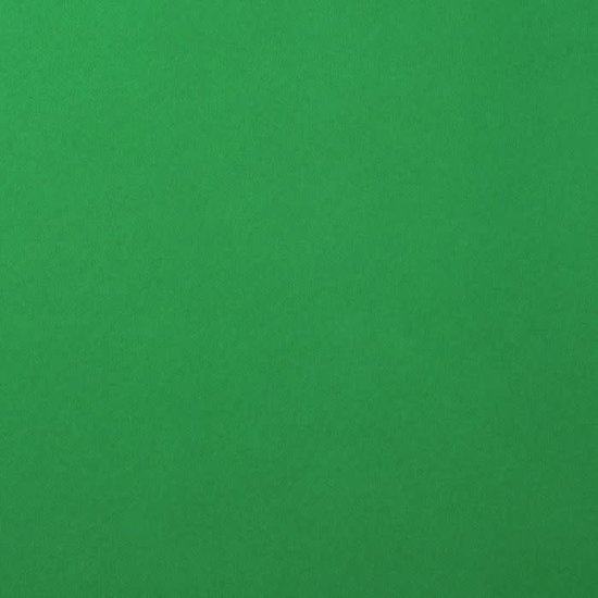 Florence Florence Cardstock Holly Smooth 12x12'' 216g