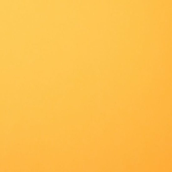 Florence Florence Cardstock Honey Smooth 12x12'' 216g