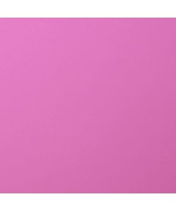 Florence Cardstock Hydrange Smooth 12x12'' 216g