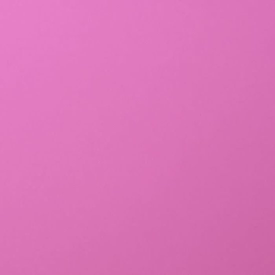 Florence Florence Cardstock Hydrange Smooth 12x12'' 216g