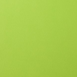 Florence Cardstock Lime Smooth 12x12'' 216g