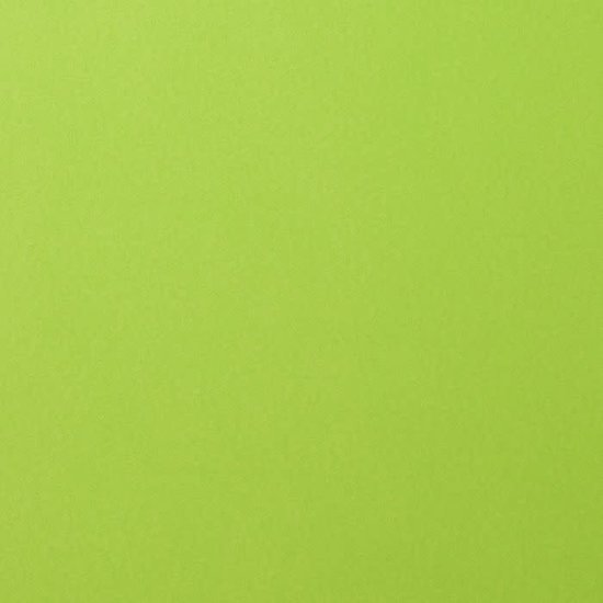 Florence Florence Cardstock Lime Smooth 12x12'' 216g