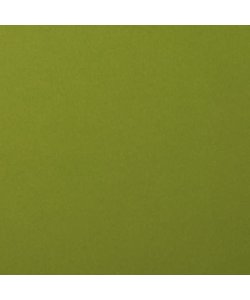 Florence Cardstock Olive Smooth 12x12'' 216g