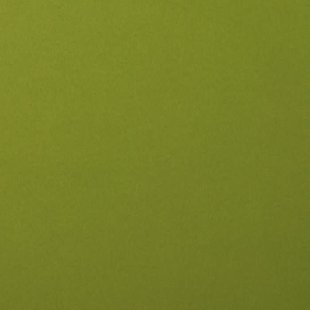 Florence Cardstock Olive Smooth 12x12'' 216g