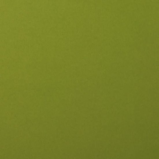 Florence Florence Cardstock Olive Smooth 12x12'' 216g