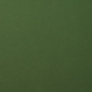 Florence Cardstock Pine Smooth 12x12'' 216g