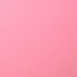 Florence Cardstock Pink Smooth 12x12'' 216g