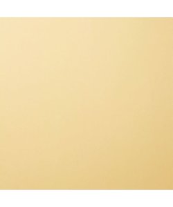 Florence Cardstock Pudding Smooth 12x12'' 216g