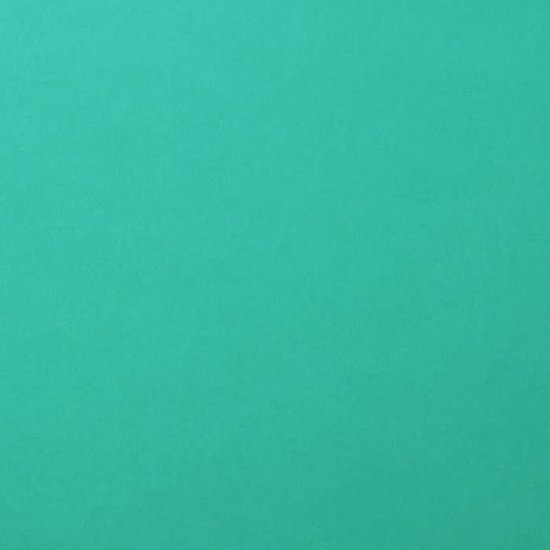 Florence Florence Cardstock Spa Smooth 12x12'' 216g