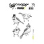 Carabelle Studio Carabelle cling stamp A6 les oiseaux