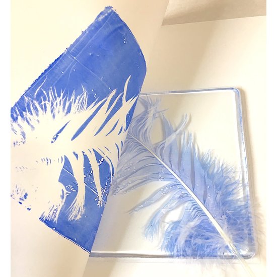 Gelli Arts Gelli Arts Gel Kit Feather Printing