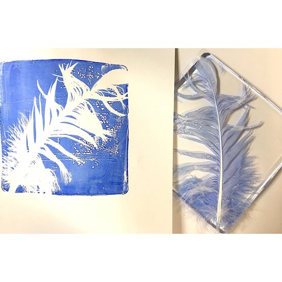 Gelli Arts Gelli Arts Gel Kit Feather Printing