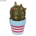 CREA Piepschuim Cactus balloncactus, 5+9cm ø, 1 stuk van elk