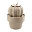 Decopatch Decopatch Papier Mache Cactus Bol Mini 7x7x11cm.