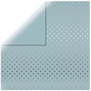 Echo Park Dots & Stripes Silver foil licht blauw