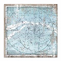 Stamperia Stamperia Paper 12x12'' Arctic Antarctic Arctic