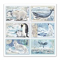 Stamperia Stamperia Paper 12x12'' Arctic Antarctic Cards