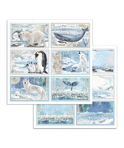 Stamperia Paper 12x12'' Arctic Antarctic Cards