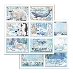 Stamperia Paper 12x12'' Arctic Antarctic Cards