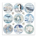 Stamperia Stamperia Paper 12x12'' Arctic Antarctic Rounds