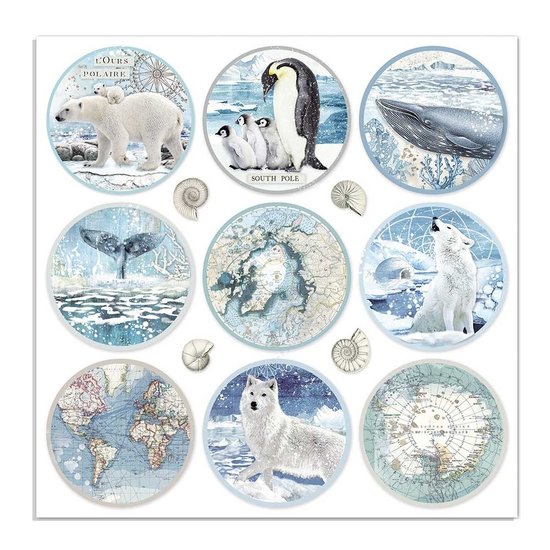 Stamperia Stamperia Paper 12x12'' Arctic Antarctic Rounds