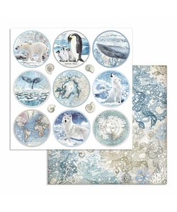 Stamperia Paper 12x12'' Arctic Antarctic Rounds