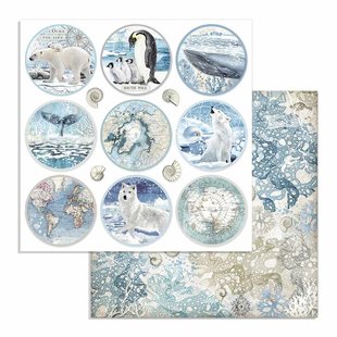 Stamperia Paper 12x12'' Arctic Antarctic Rounds