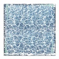 Stamperia Stamperia Paper 12x12'' Arctic Antarctic Shells